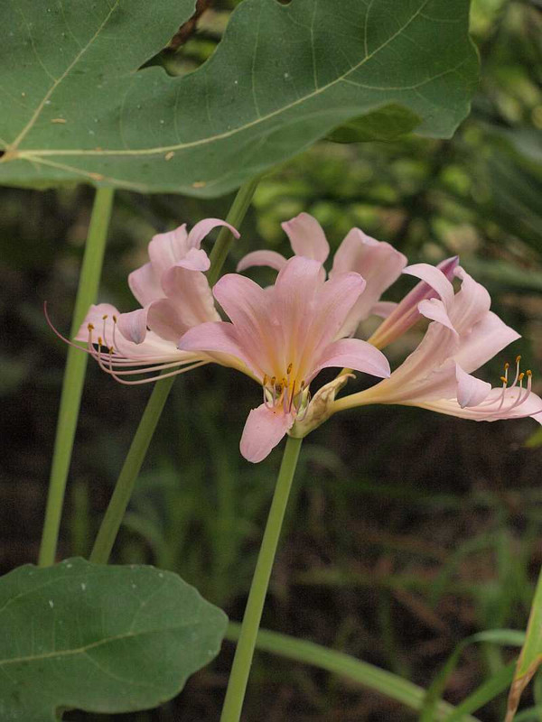 P8302092