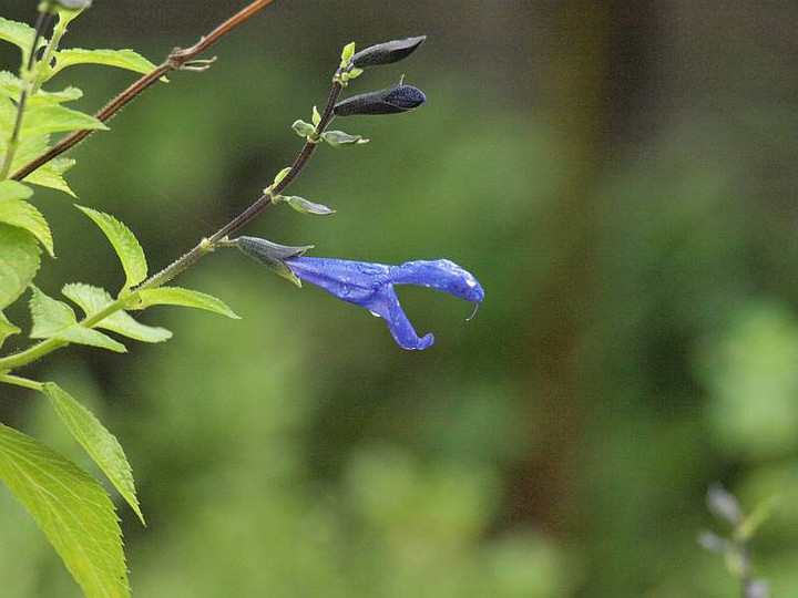 P8312134