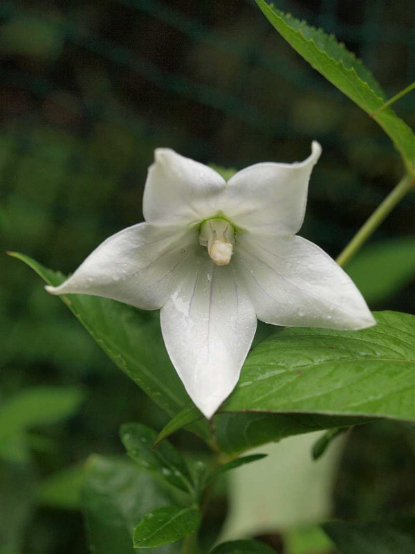 P9012202