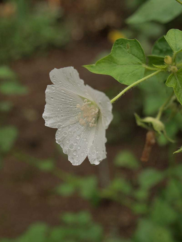 P9012205