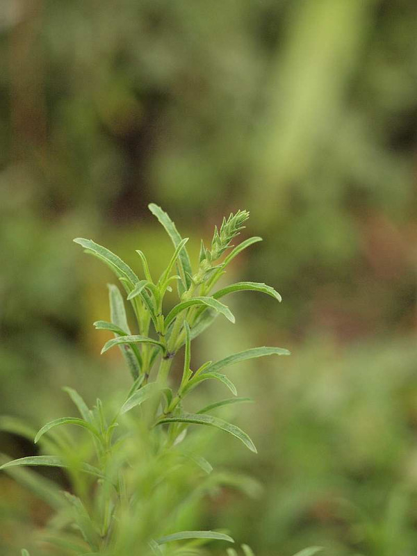 P9022233