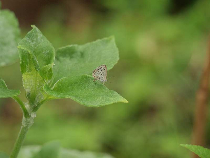 P9022234