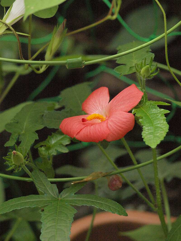 P9032328