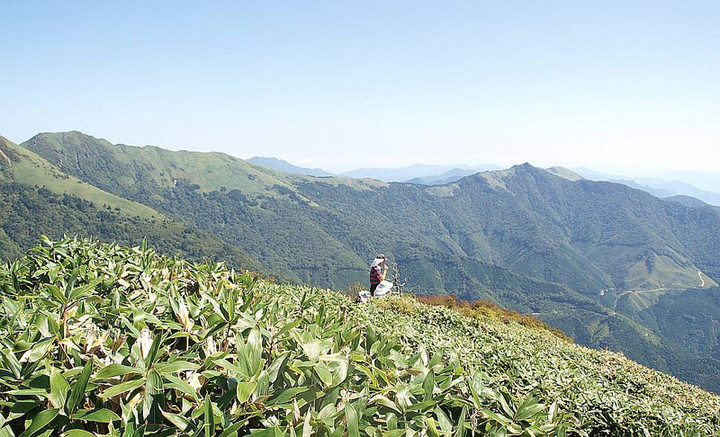 P9193518turugisannkei