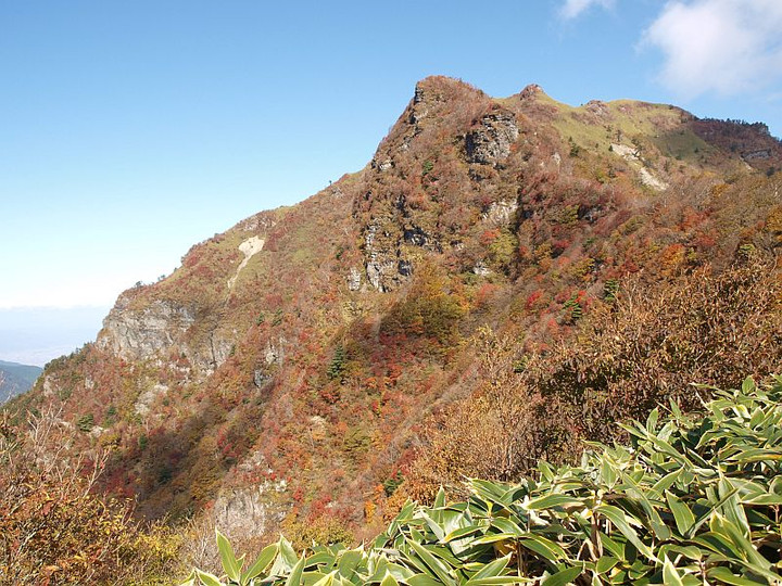 Pa209882kyonennnokouyou