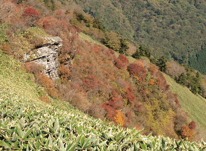 Pa175652iroduki_appu