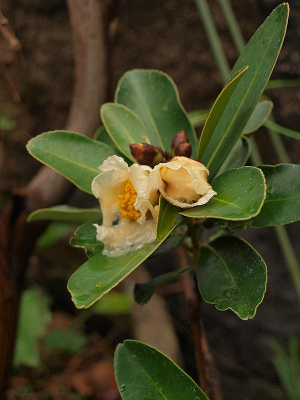 P1089814