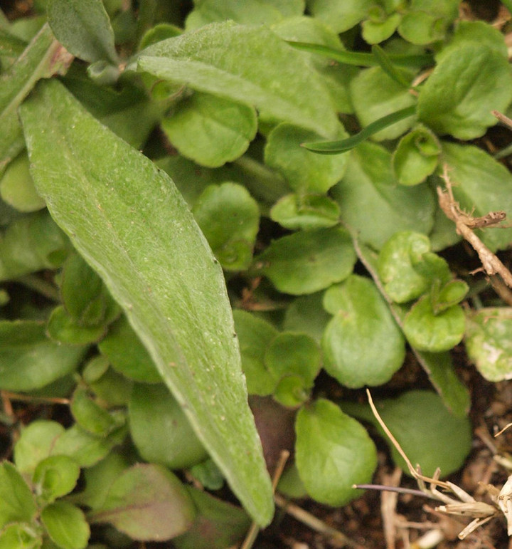 P1210418