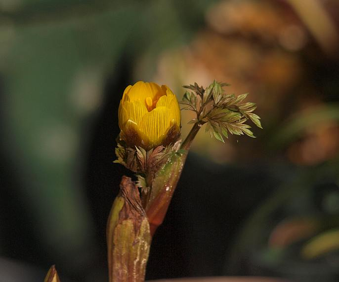 P1230479
