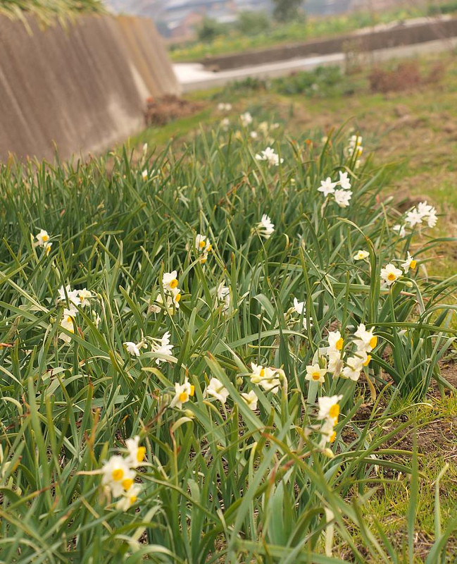 P1250696