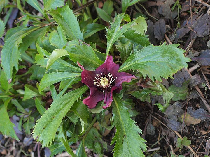 P1270753