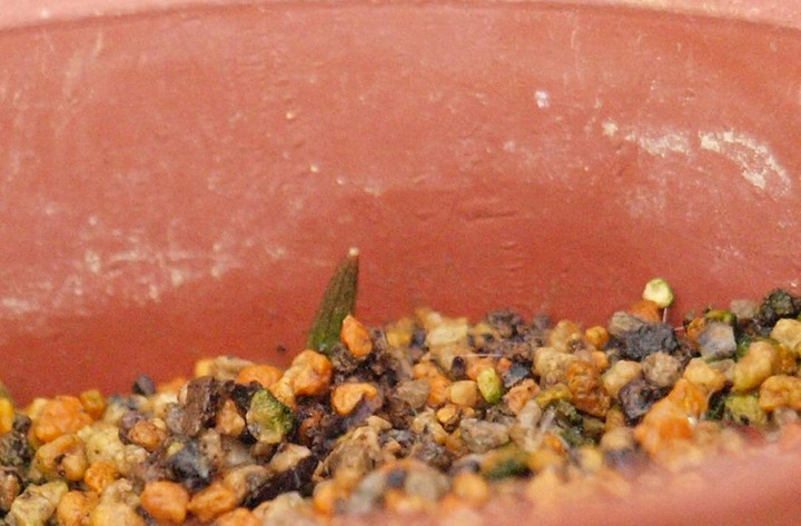 P1300903