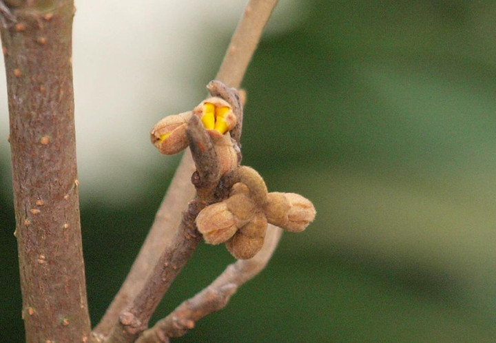 P1300905