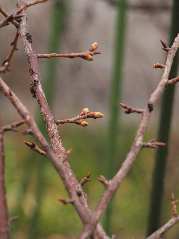 P1300908