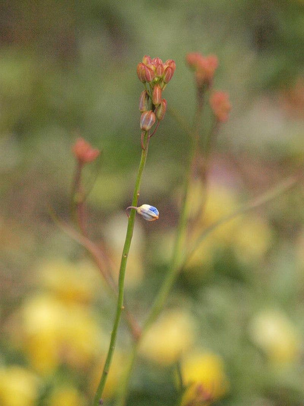 P1300910