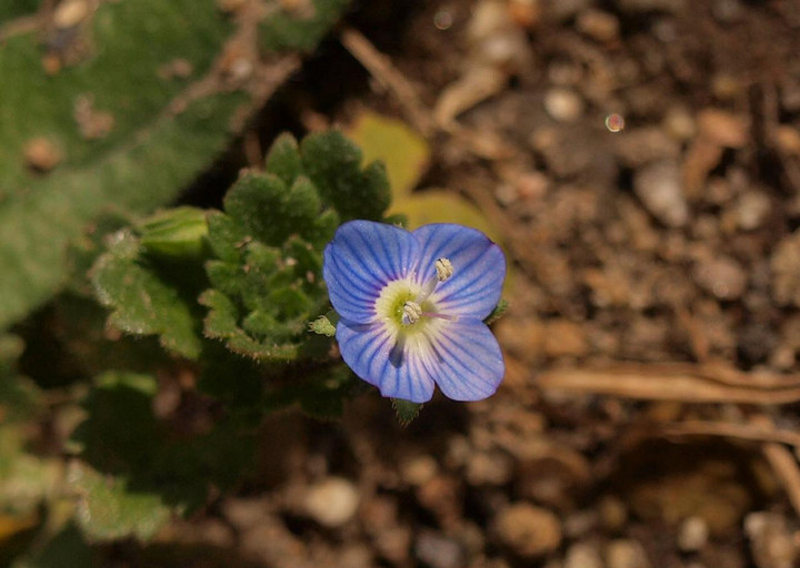 P1310965