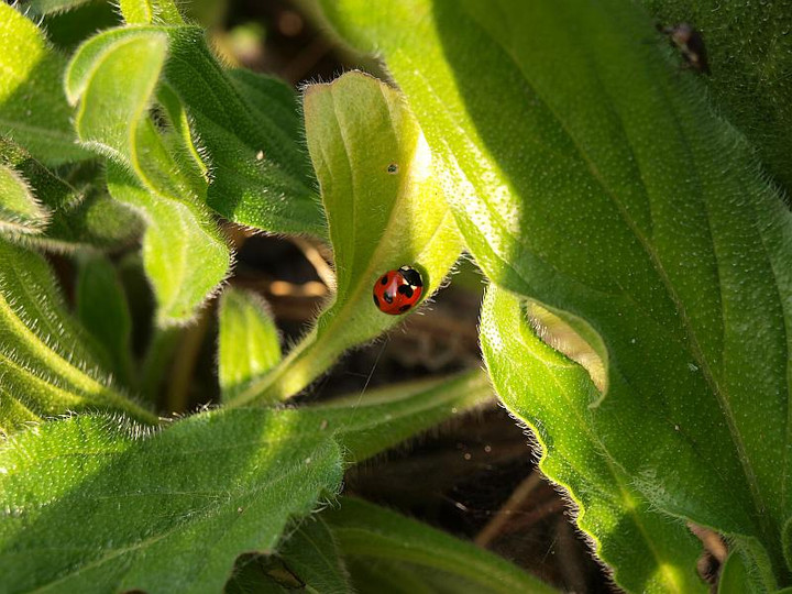 P2010991