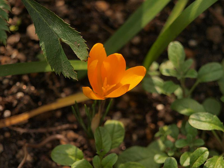 P2202373