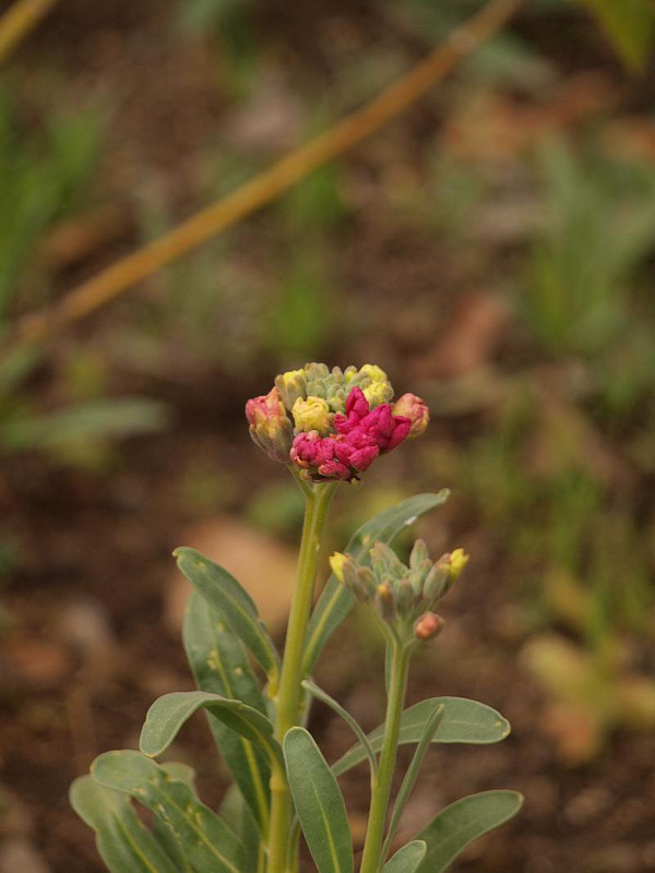 P2283002