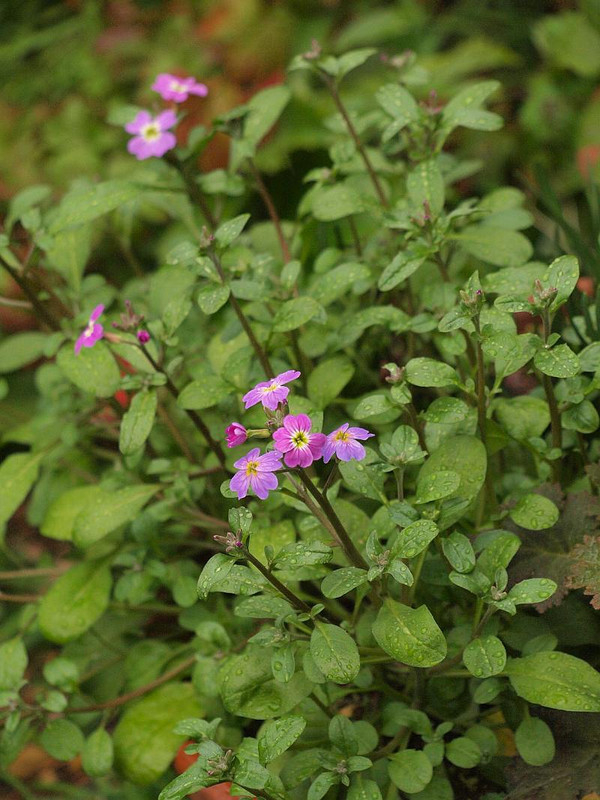 P3013080