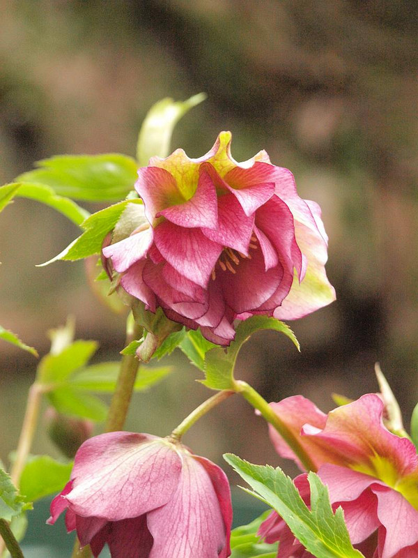 P3013087