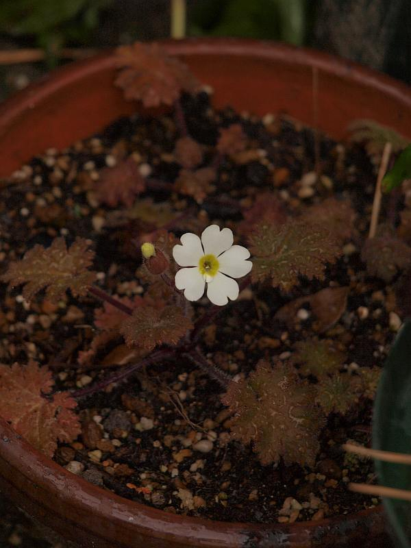 P3013089