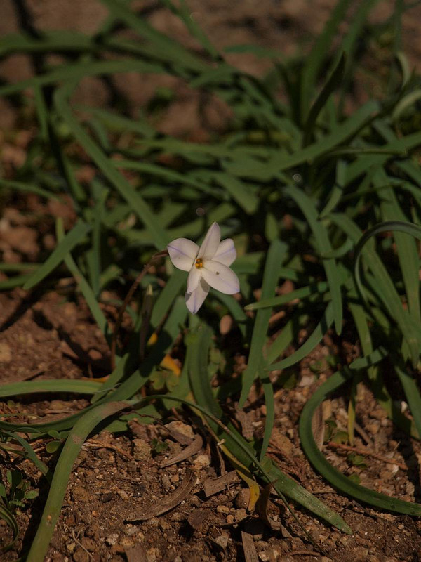 P3113745