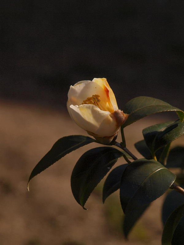 P3123795