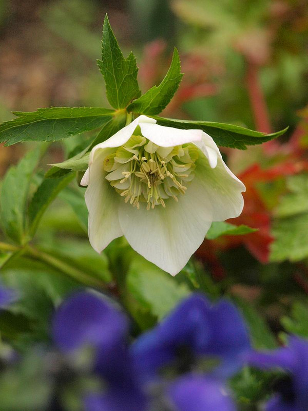 P3184391