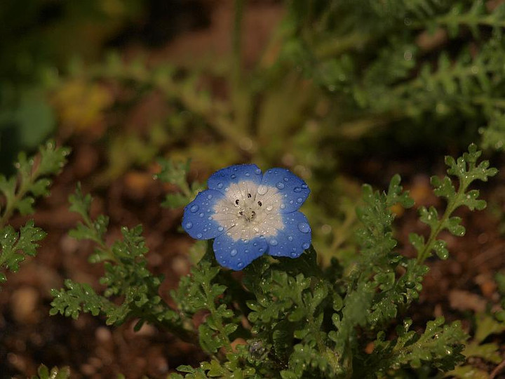 P3194403