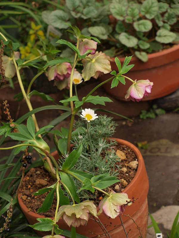 P3204512