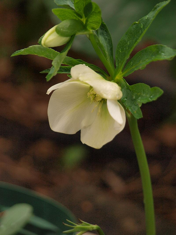 P3204532