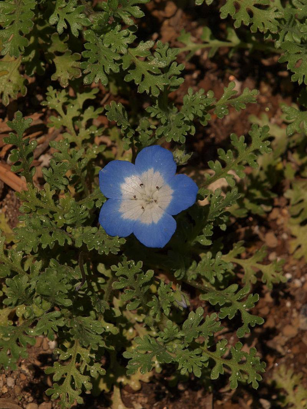 P3214561