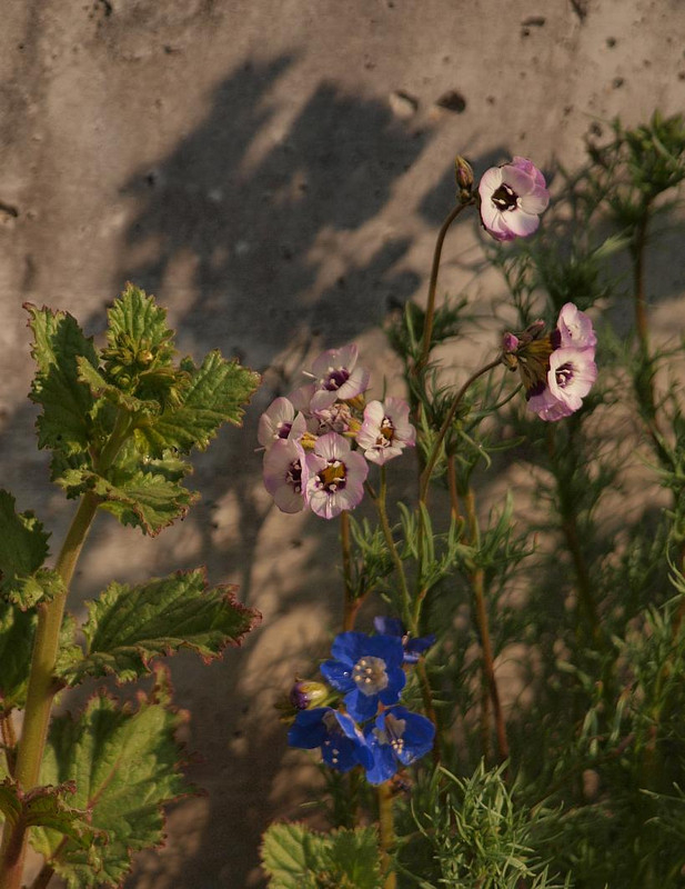 P3244912