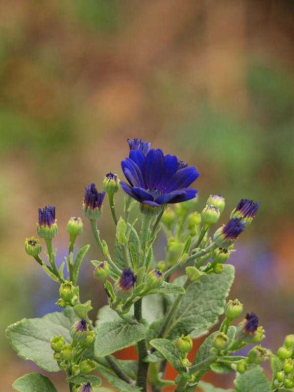 P3254961