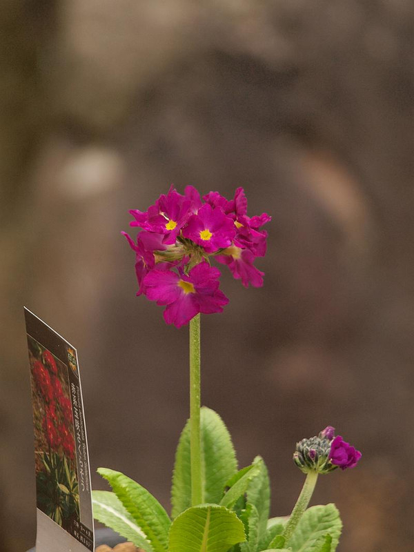 P3254962