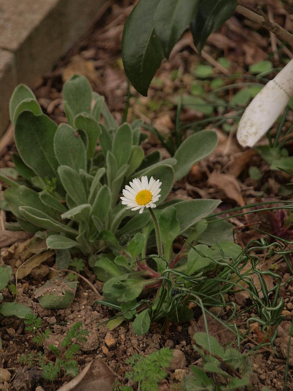 P3254973