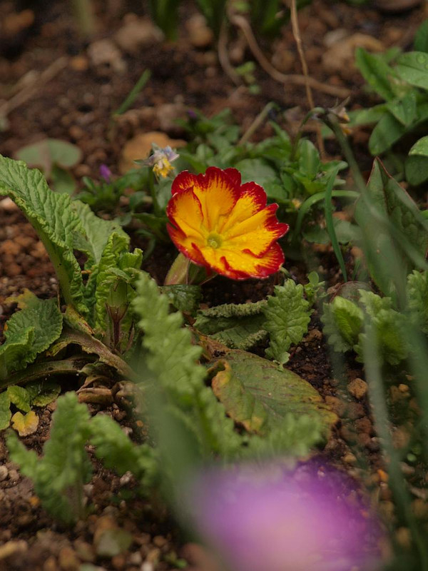 P3254989