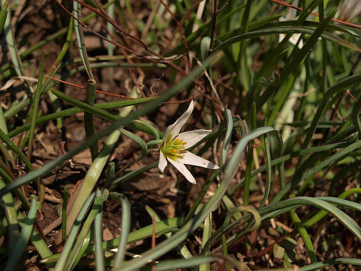 P3224624