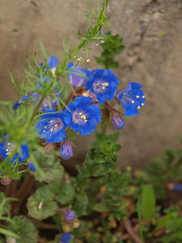 P3295485