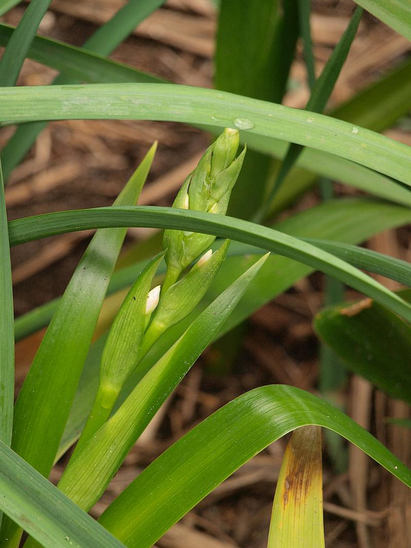 P3305613