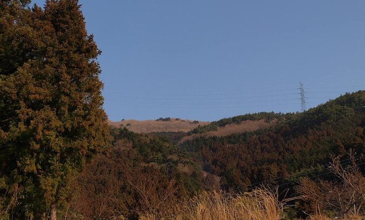 P3234702