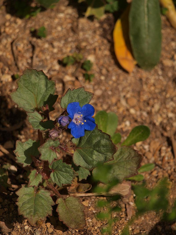 P4015667