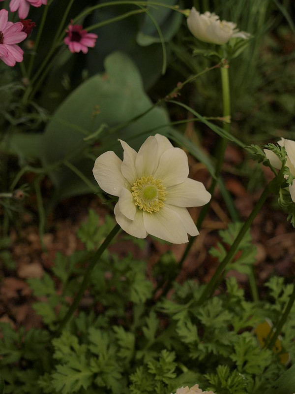P4025876