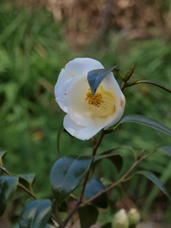 P4046056