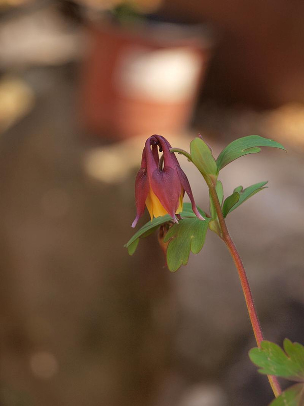 P4086750