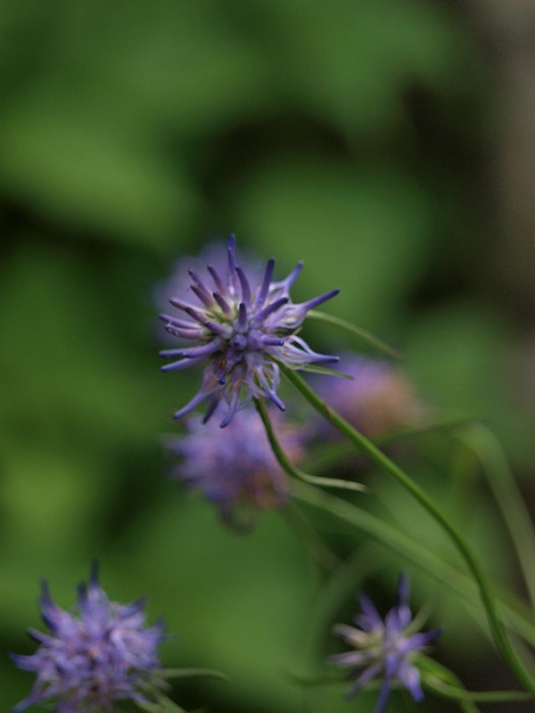 P4308807