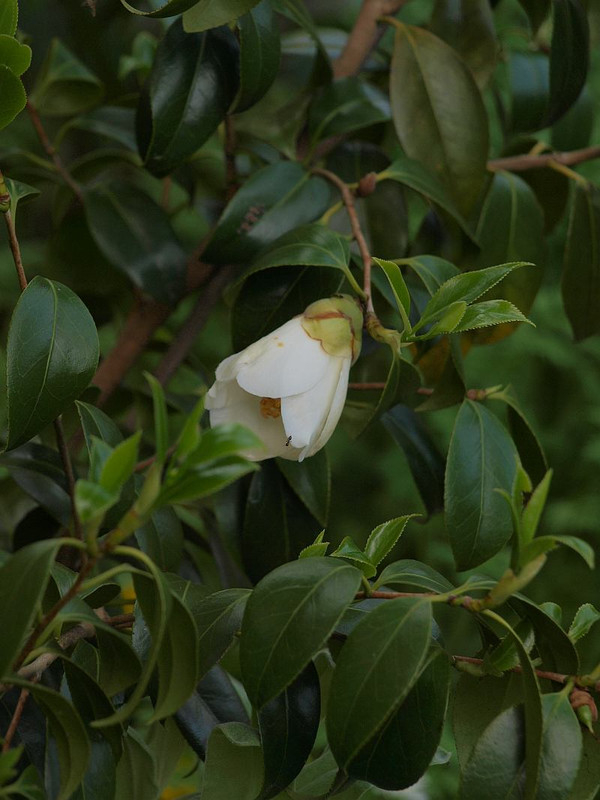 P4308815