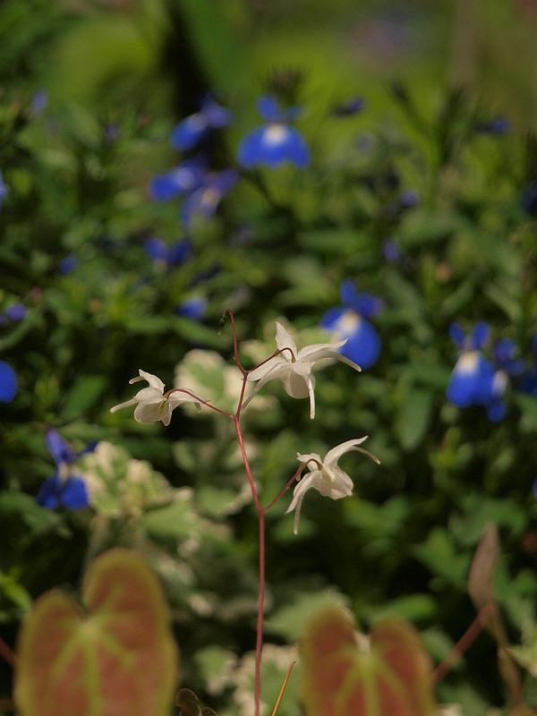 P5018967