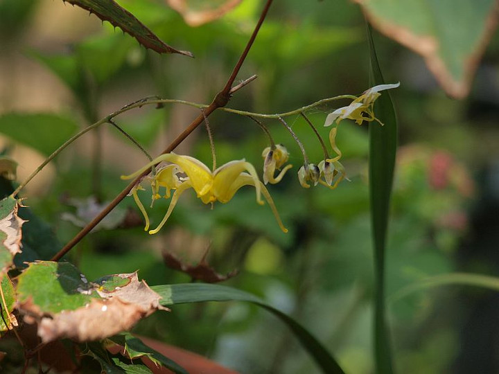 P5018997